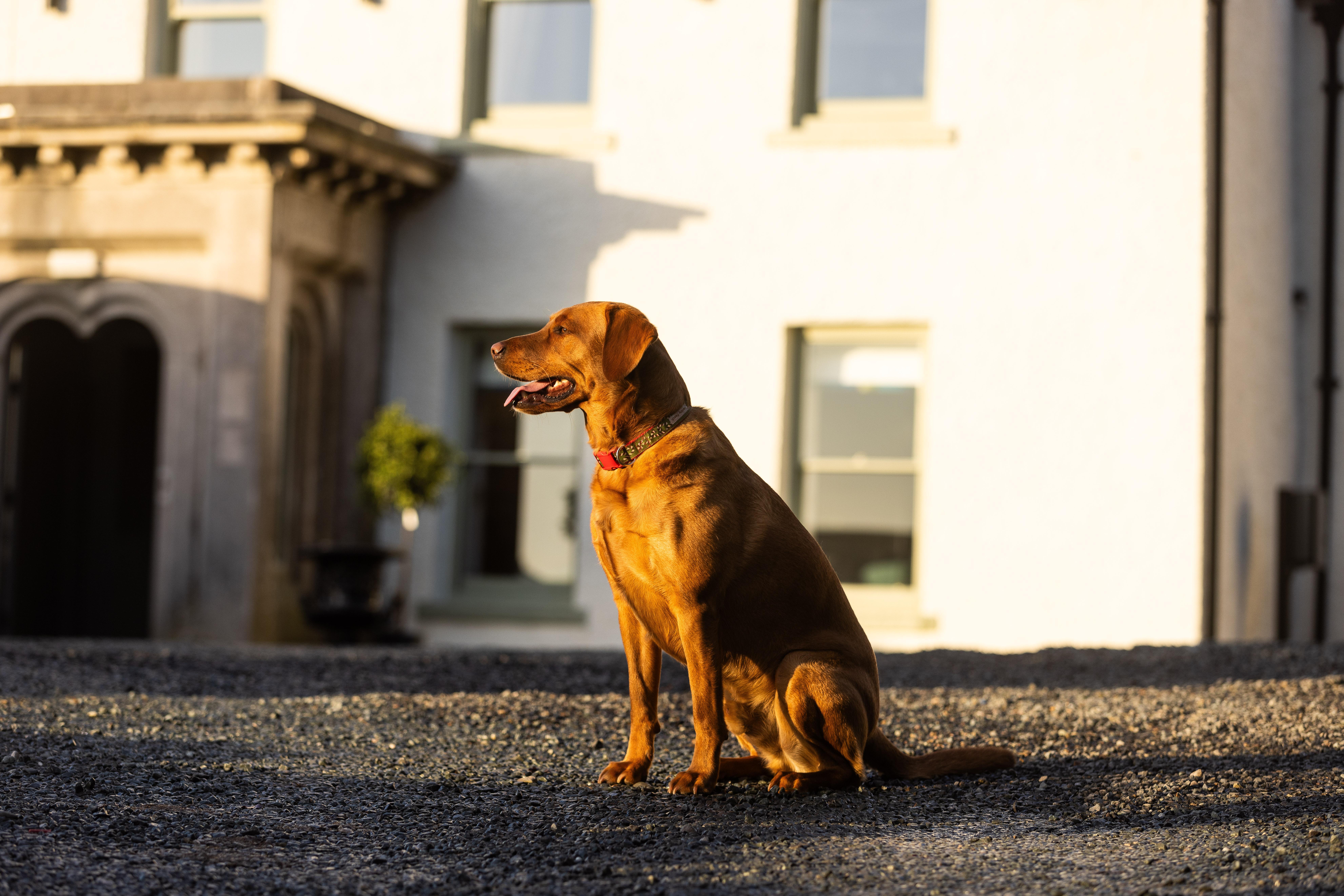 Aynsome Manor Cartmel Exterior foto