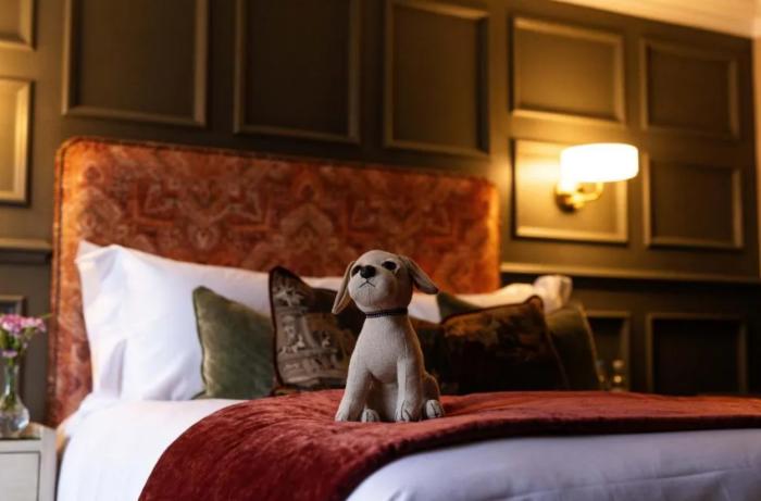 Aynsome Manor Cartmel Quarto foto